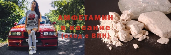 гидра Мензелинск