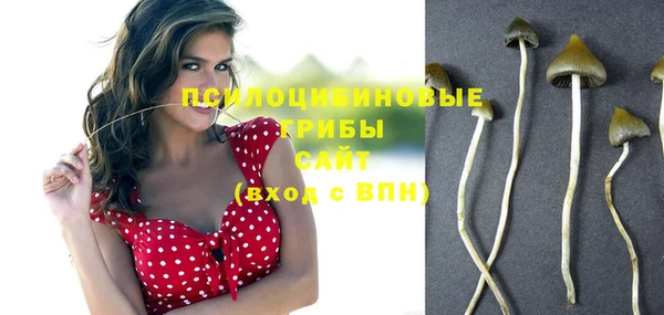 СК Остров