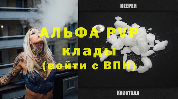 гашик Абаза